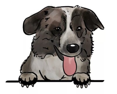 Aidi Atlas Mountain Dog Sticker Decal