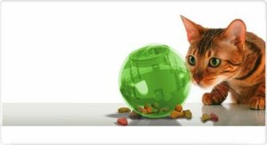 petsafe slimcat interactive cat feeder