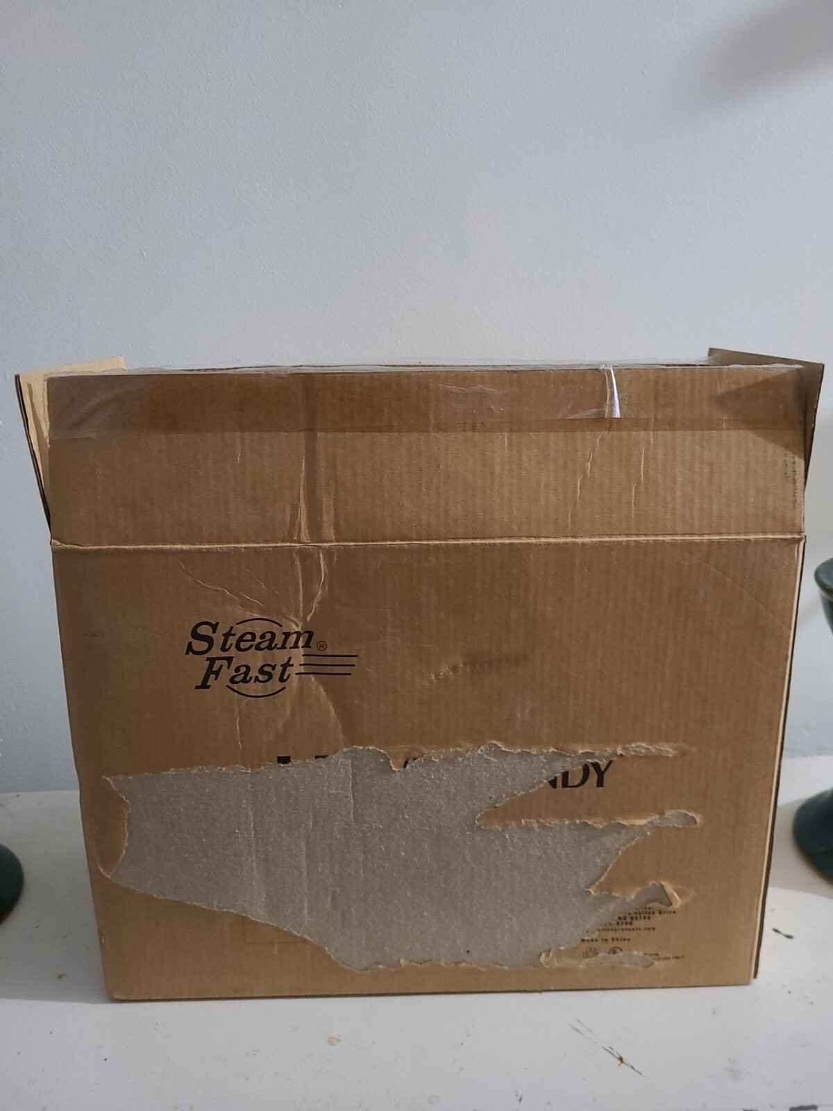 Steam Fast Steam Cleaner SF-220 New Inbox.