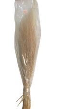 Stipa pennata 30/50cm salmone Pacini trade