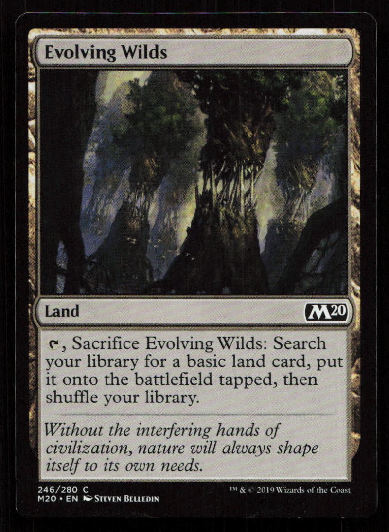 EVOLVING WILDS 246 C Core Set 2020 LP