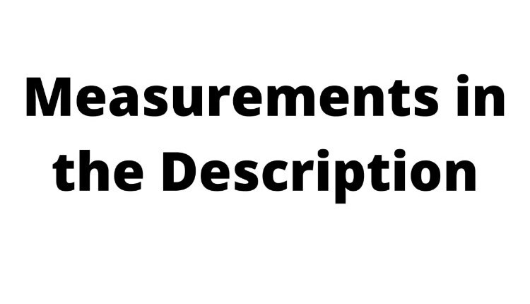 ROCHELLE BEHRENS THE ICON SHIRT XL {FITS L} TAN PREPPY ACADEMIA QUIET LUXURY NEW