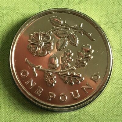 ENGLAND COIN 2013 ROSE AND OAK FLORAL ONE 1 POUND BRILLIANT UNCIRCULATED BU