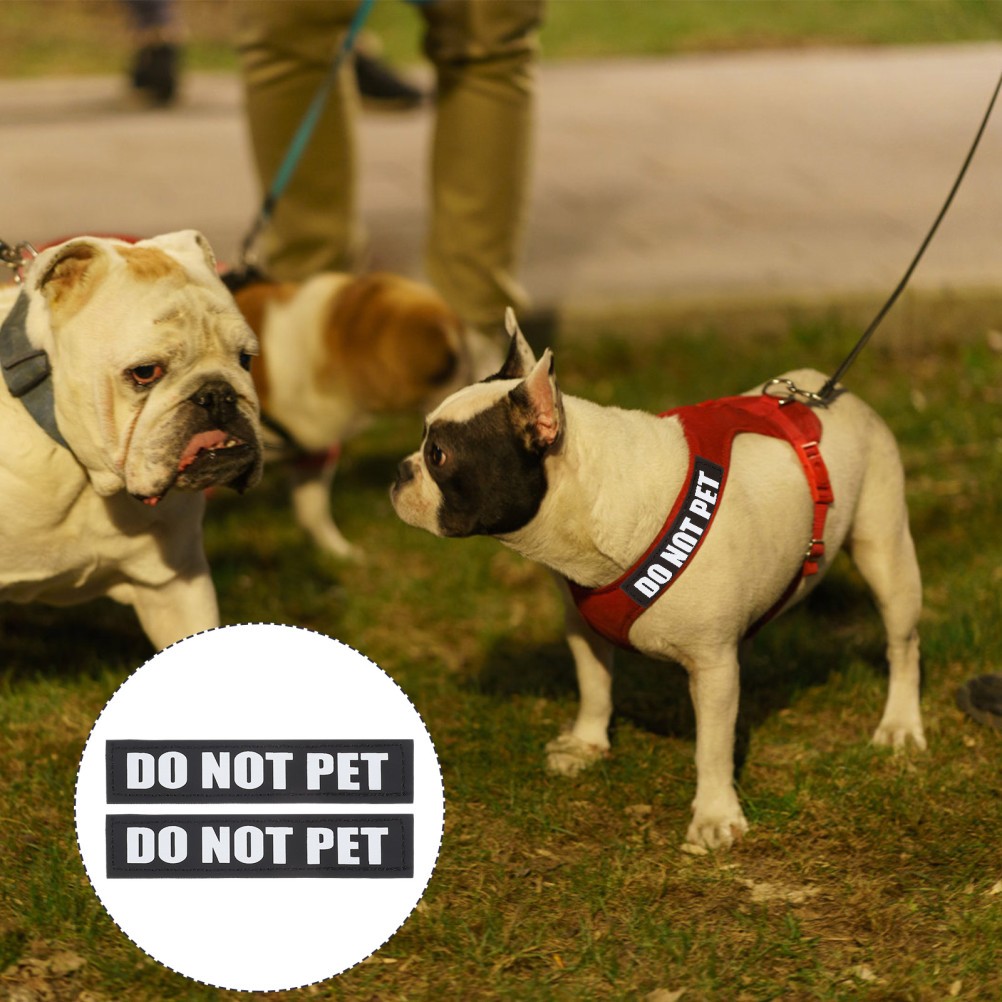 Toppe per Cani Riflettenti in PU Nero Riutilizzabili Accessori Imbracatura per Animali Domestici foto 4