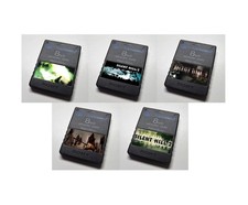 Silent Hill 2 Collection - Custom PlayStation 2 PS2 Memory Card Stickers