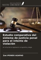 Estudio Comparativo Del Sistema De Justicia Penal Para El Intento De ViolacióN
