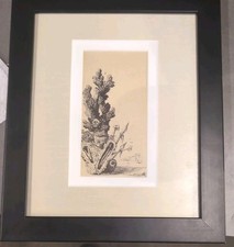 Salvador DALI 1948 Original Lithograph Sea Sponges & Spears ? Framed And Matted 