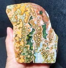 Rare 793g Natural Orbicular Ocean Jasper 8th Vein Rough Healing Rwd2208