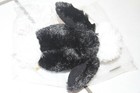 Bild 5 von 8