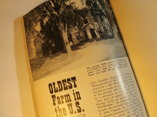 VTG Nov 1963 Yankee Magazine V27 No.11  New England Recipe: Grams Minute Pudding - Bild 8 von 12
