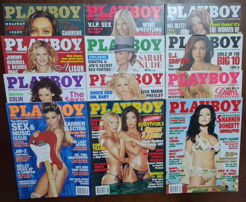 Playboy Magazine Lot 2003 *12* Magazines