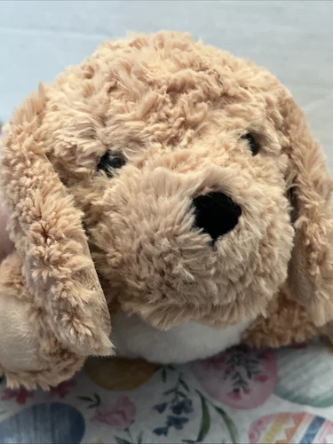 Steiff Golden Doodle Puppy Dog Golden Retriever Mixed with Poodle Plush Toy - Picture 5 of 8