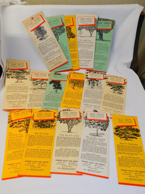 LOT of 19 Vtg Chester Valley Tree Experts Pottstown PA Advertising TREE THOTS