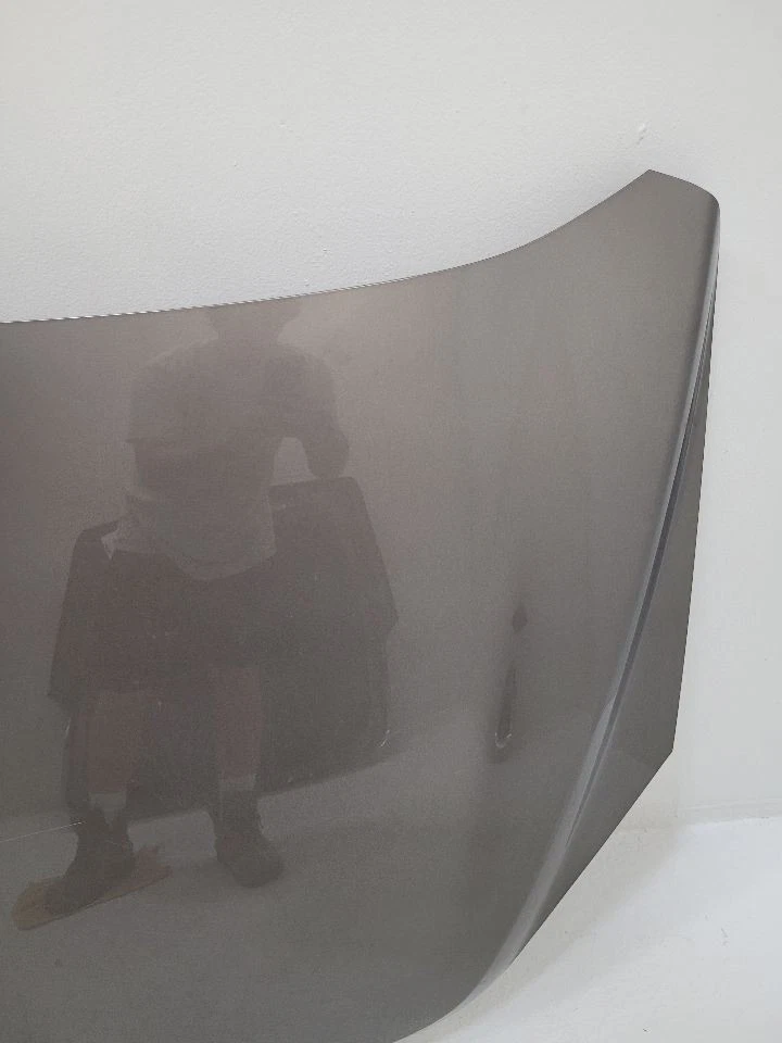 2010 2011 2012 2013 2014 2015 2016 2017 CHEVROLET EQUINOX Hood GRAY Foto 4 de 4