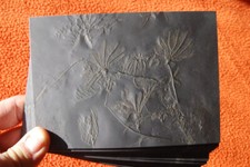 Werbeflyer Bundenbach Fossilien (Hunsrückschiefer) - Sammeln RAR!