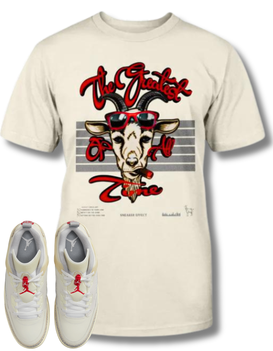 SNEAKER EFFECT TEE shirt to match AIR JORDAN SPIZIKE LOW COCONUT MILK