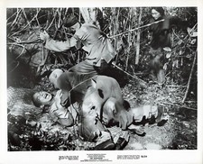 The Hawaiians 1970 Movie Photo 8x10 Mako Tina Chen a*P134a
