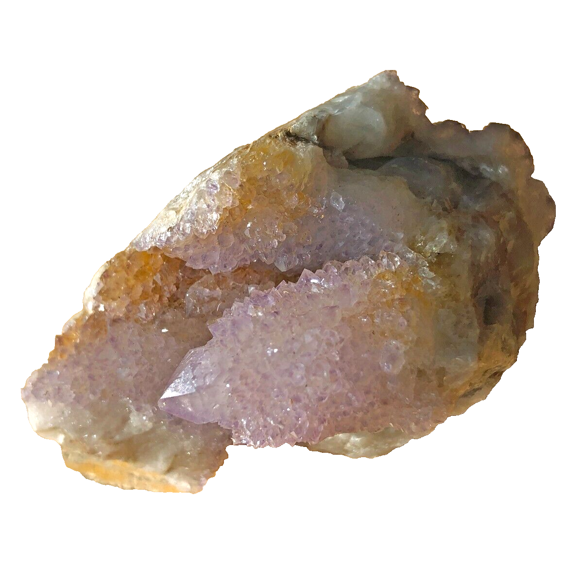 Amethyst Spirit Quartz Cactus Crystal Cluster CC4498