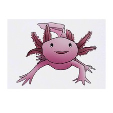 'Axolotl' Temporary Tattoos / Transfers TO00037056 
