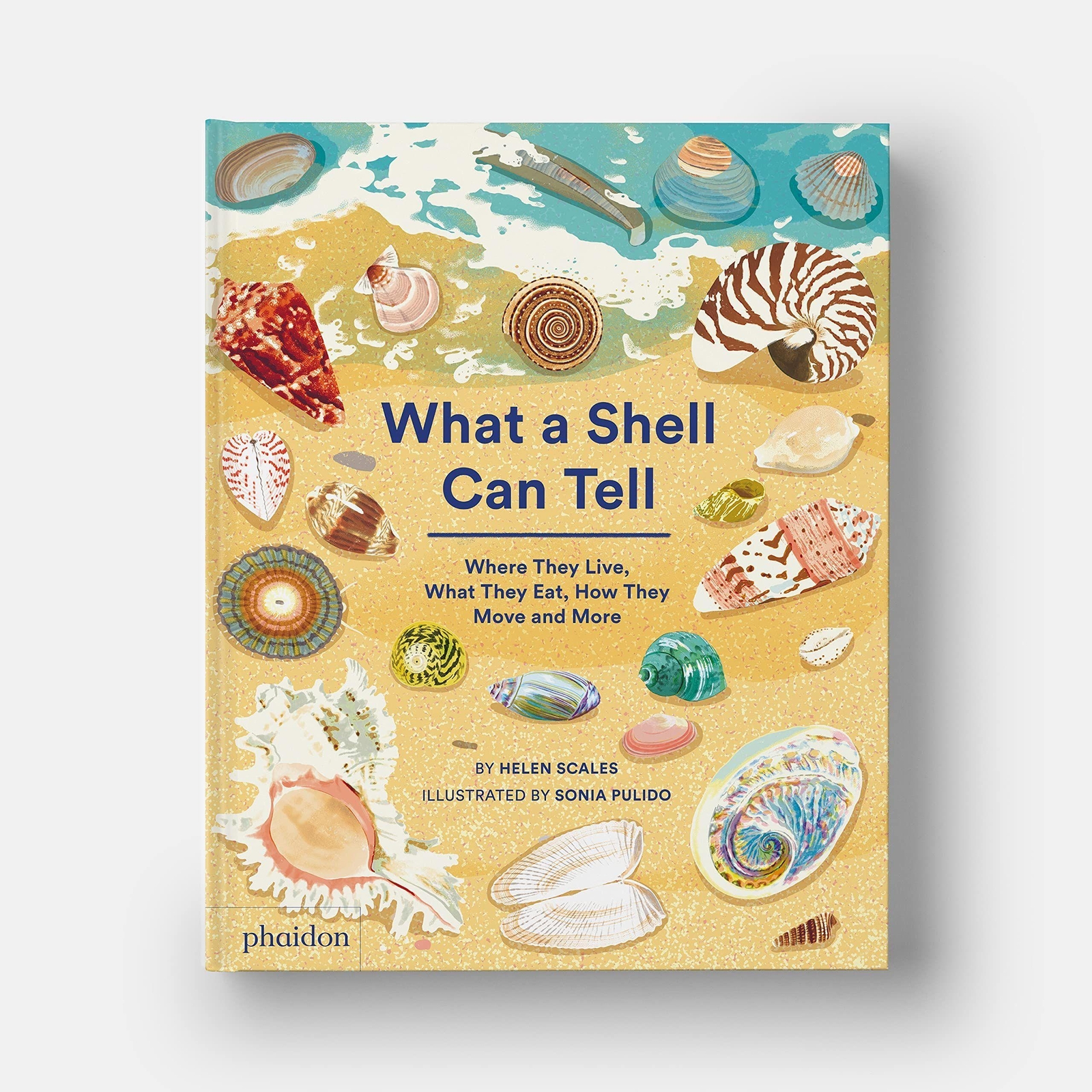 Thumbnail - What A Shell Can Tell | Helen Scales (u. A.) | Englisch | Buch | 48 S.