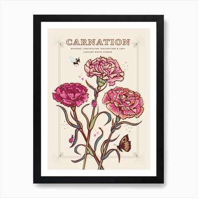 Januar Geburt Blume Nelke auf C gerahmtes Wandbild Poster Leinwanddruck Bild