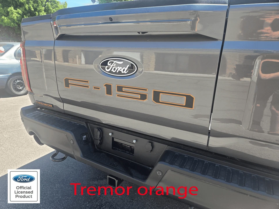 Se adapta a Ford F150 Pro Access 2024 portón trasero F-150 letra con contornos calcomanía adhesiva Foto 2 de 4