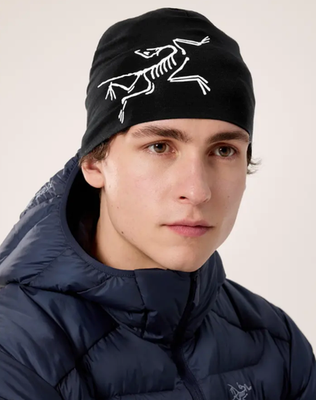 アークテリクス Satoro Merino Toque ブラック ARCTERYX SATORO MERINO TOQUE BLACK ARCTIC SILK Unisex Beanie