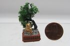 Dollhouse Miniature Bonsai Tree in Planter with Buddha Isl5203