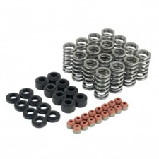 Skunk2 Fits Honda L15B7 Ultra Valve Springs and Spring Base Kit
