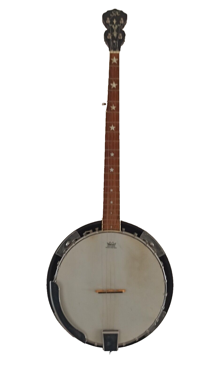 ARIA アリア 5弦バンジョー REMO Banjo WEATHER KING