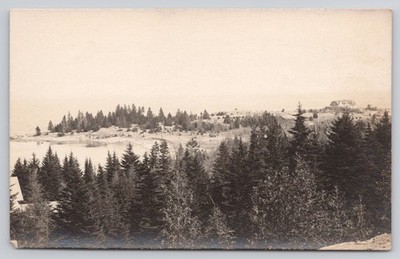 RPPC Scene of Bay Pine Trees Distant Building Real Photo Postcard