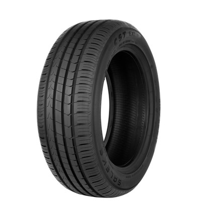 4x CHENG SHIN Sommerreifen (1 Satz) 245/45 R19 TL 102W SALEKS E X1 XL