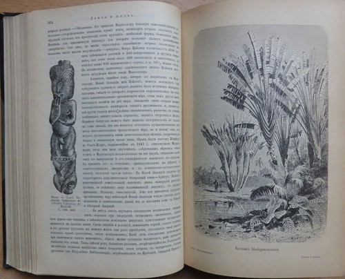 Russian book. Earth and life. Comparative geography. Friedrich Ratzel. 1903 ... - Picture 7 of 12