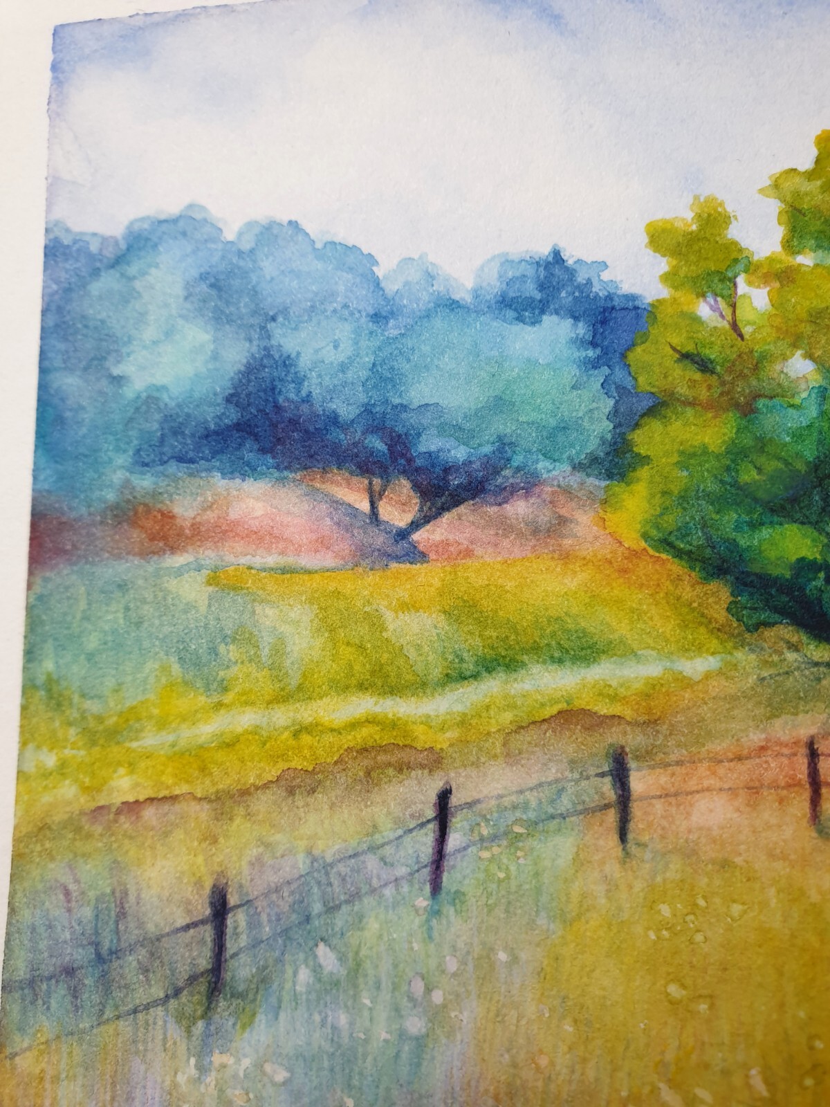Bild 8 von 18