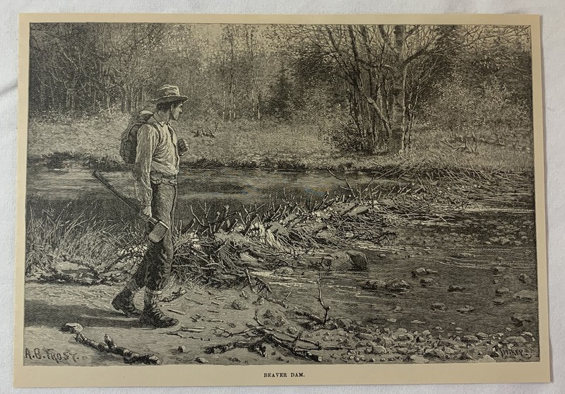 1889 magazine engraving ~ BEAVER DAM