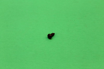 NOS KAWASAKI ZX600 ZX1100 ZR1000 TAPPING SCREW 5X12 BLACK PART