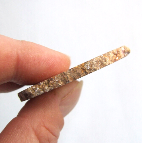 Fossil Petrified Wood Slice Madagascar Polished 5.5cm x 3.5cm 15g - Picture 6 of 12