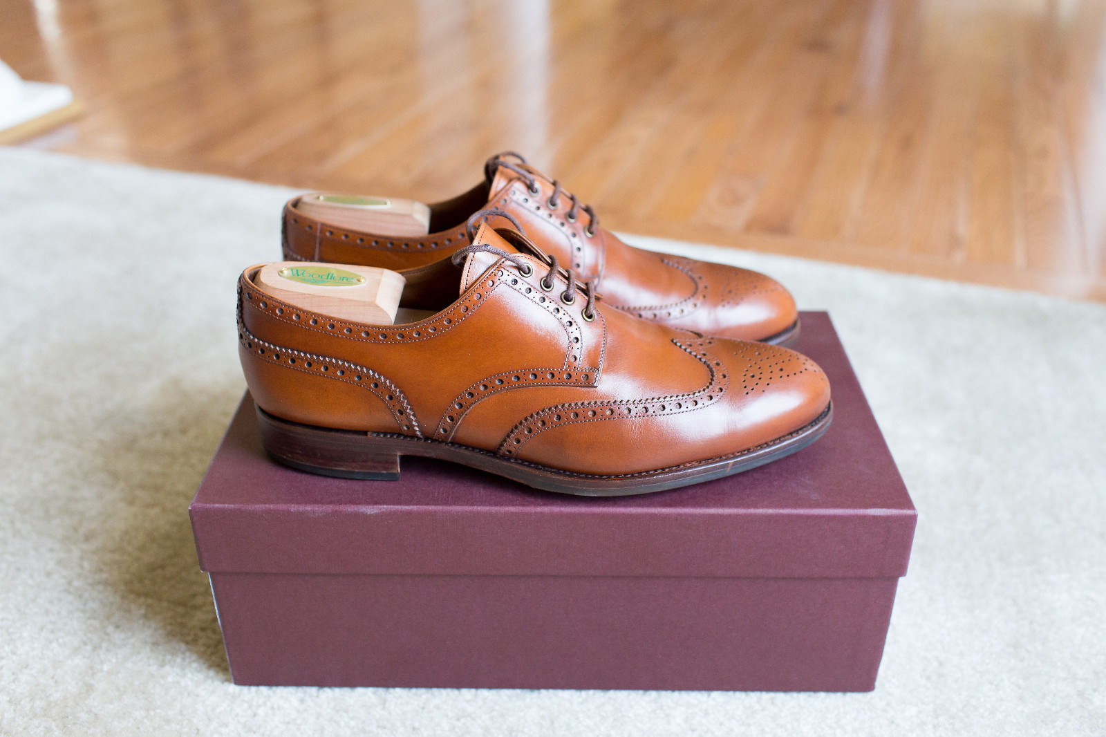 Carmina Shoemaker Short-Wing Derby Shoes 9 UK / Queens 10 US Queens / Cuero 815 cf5aa8 Carmina Shoemaker Short-Wing Derby Shoes 9 UK / Queens 10 US Queens / Cuero 815 cf5aa8