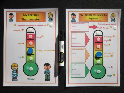 My Feelings Thermometer - ASD ADHD Autism SEN Dementia Alzheimer's PECS Visual - Picture 2 of 25