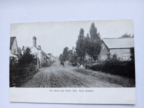 Vintage Postcard The Street & Public Hall,Much Hadham, Hertfordshire . - Afbeelding 1 van 4