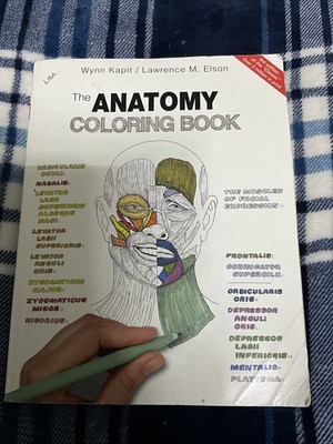 Anatomy Coloring Book Human Medical Study Review Reinforcement Homeschool