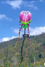 18M Large 3D Kites models Original Software kite jellyfish painted flower Demo