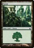 Forest (306) #306 ** (HP) - Ravnica: City of Guilds MTG