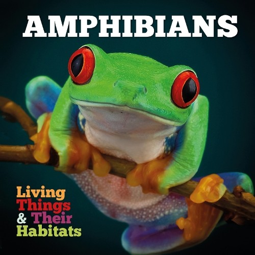 Amphibians Grace Jones - Image 7