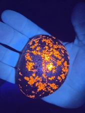 8.5 Oz " Big & Bright Glower " Yooperlite ( Flourescent Sodalite ) Lake Superior