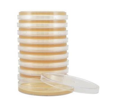Tryptic Soy Agar Plates (TSA), Ready-to-use, Prepared, Sterilized, 10/Pk.