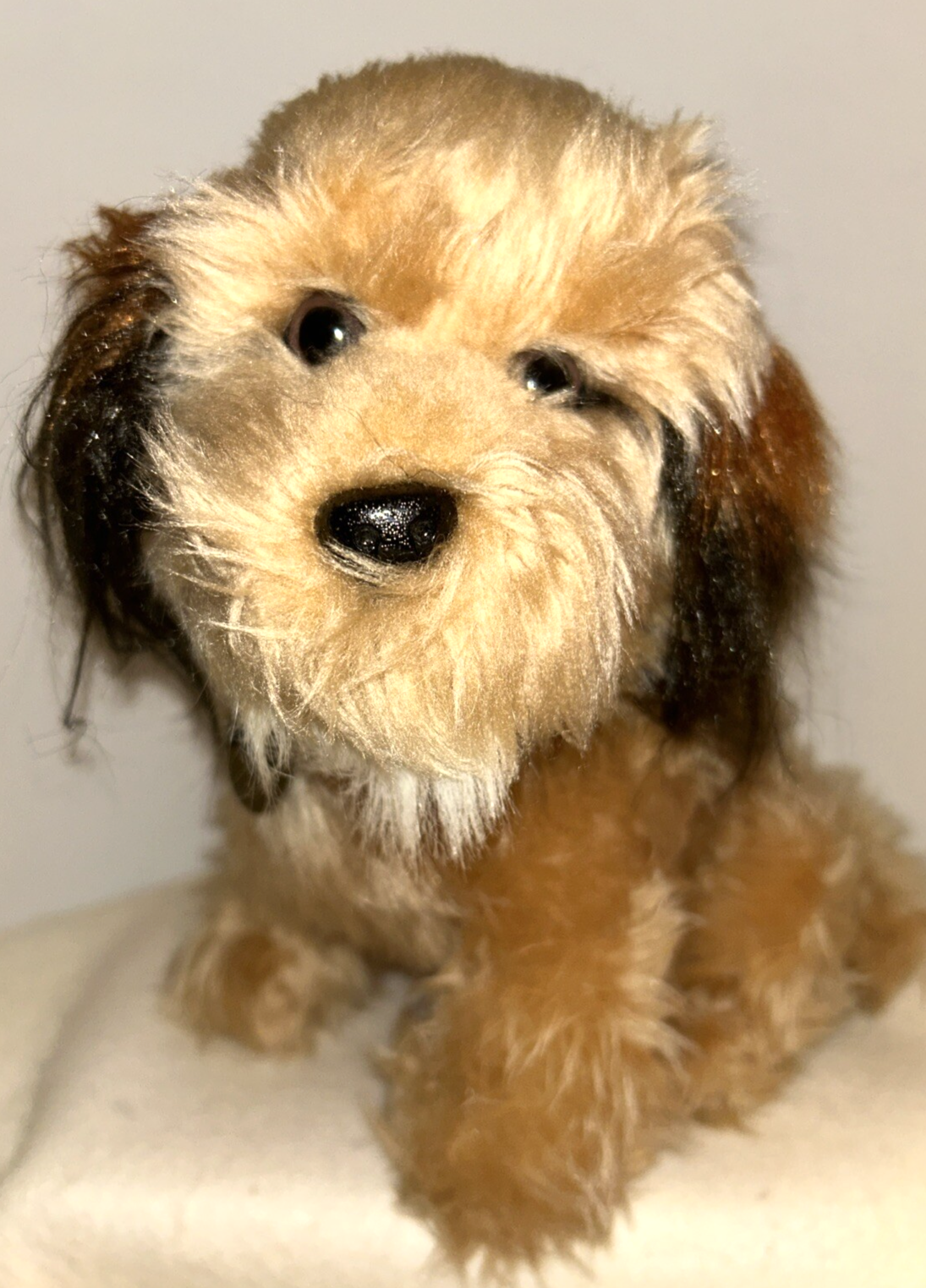 Foto 2 di 8