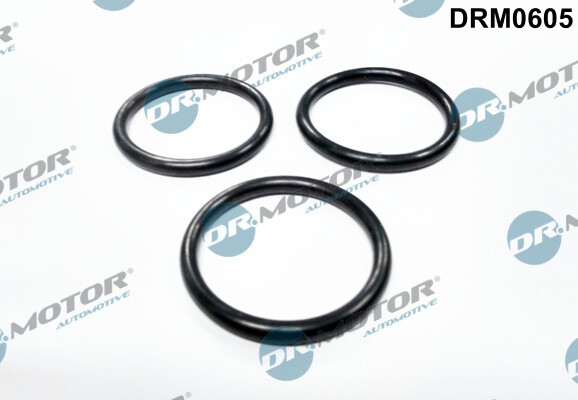 Dr.Motor Automotive Dichtung Wasserpumpe FüR Ford Transit Custom Kasten-image