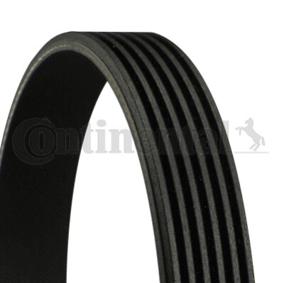 CONTINENTAL CTAM (6PK2236) Keilriemen, Keilrippenriemen für VW