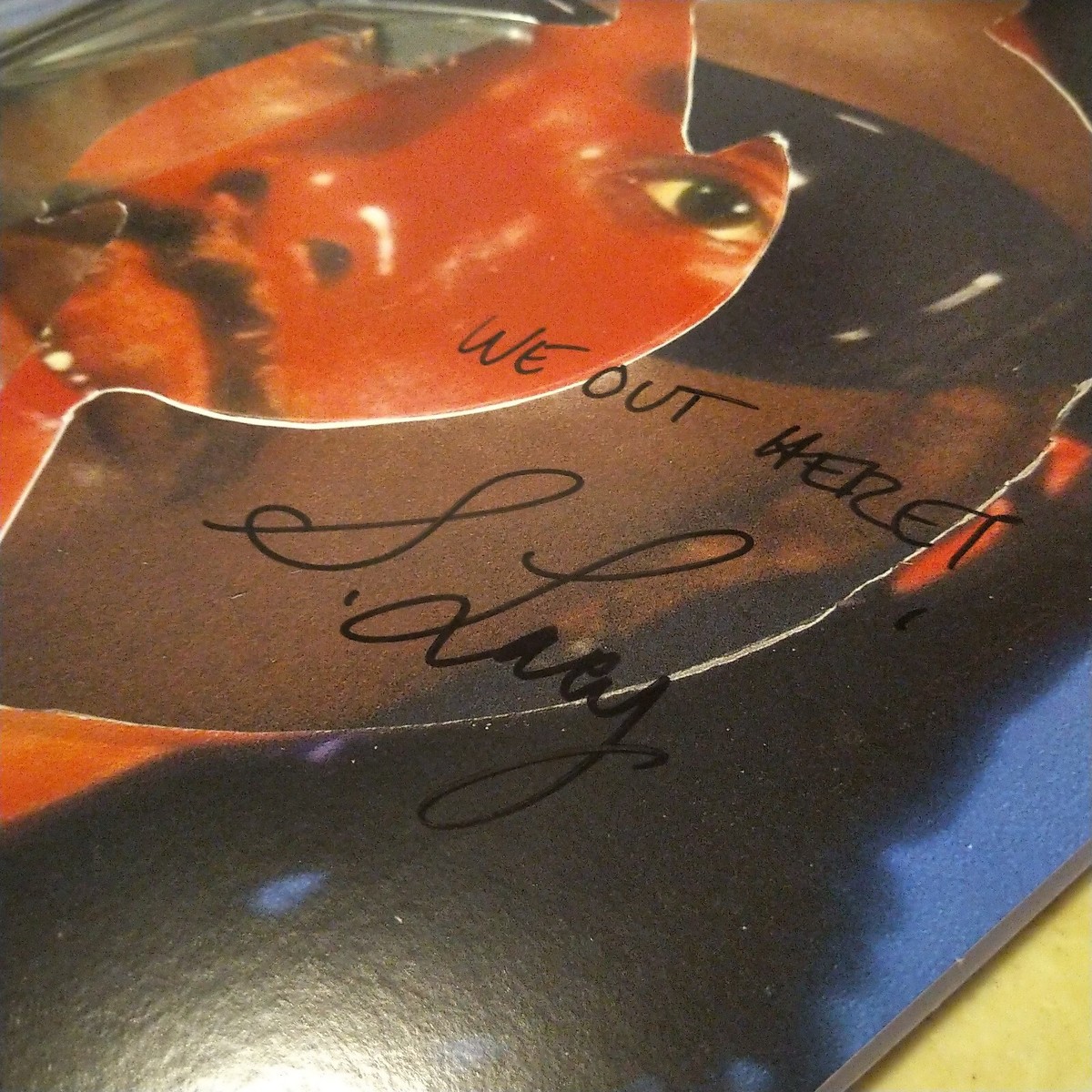 SIGNED Steve lacy - Gemini rights autographed Vinyl Records lps | eBay